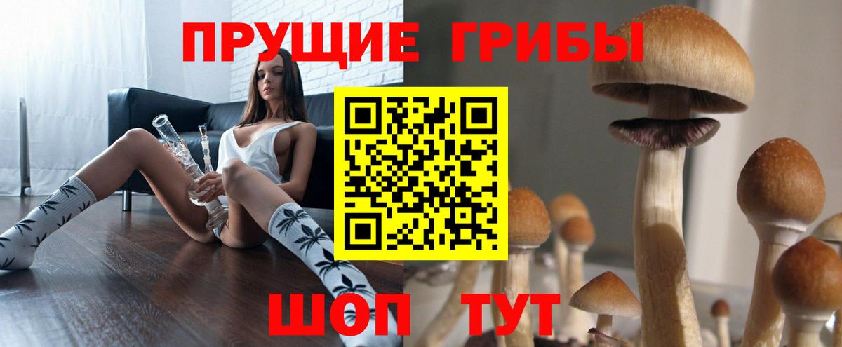 Псилоцибиновые грибы Cubensis Чебоксары