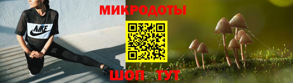Псилоцибиновые грибы GOLDEN TEACHER  Галлюциногенные грибы Psilocybe  Чебоксары  Вход с VPN 