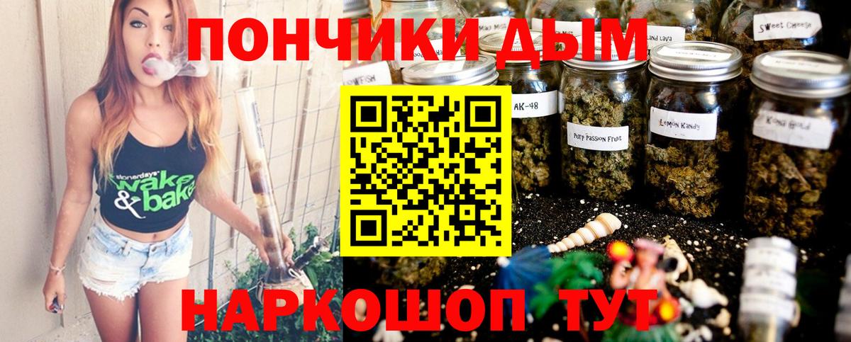 Каннабис планчик Чебоксары
